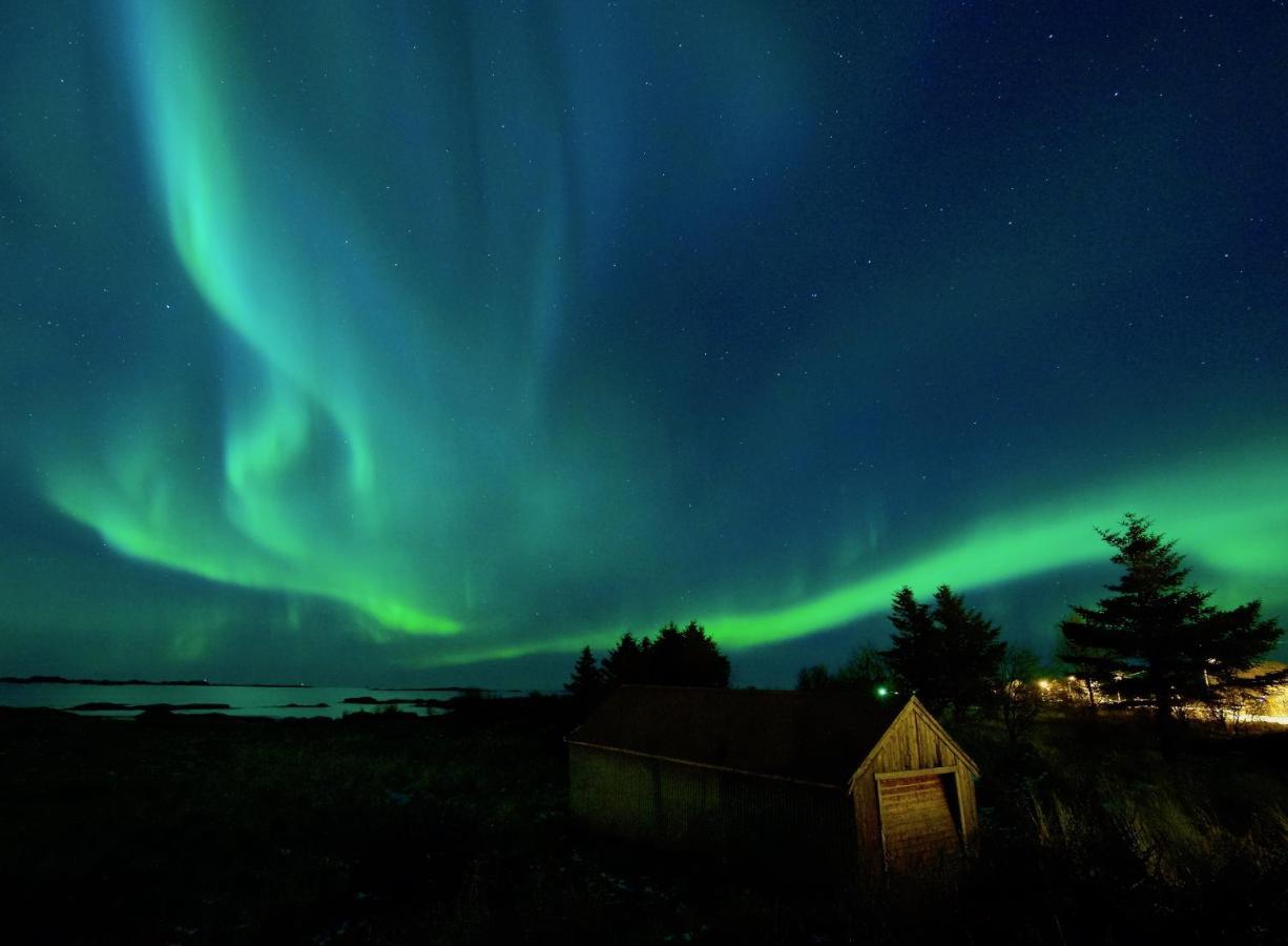 Fishermans Village Lofoten Alstad  Esterno foto